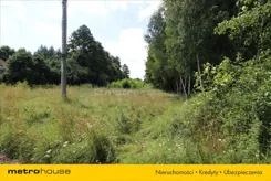TOPO974 - zdjęcie nr 4