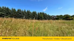 SGLODI219 - zdjęcie nr 0
