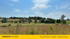 SGLODI219 - zdjęcie nr 2