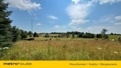 SGLODI219 - zdjęcie nr 3