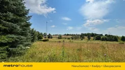 SGLODI219 - zdjęcie nr 4