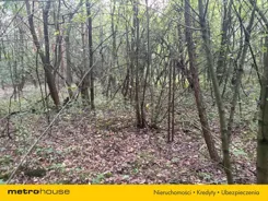 SGHUBA830 - zdjęcie nr 0