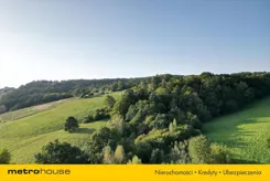 HAZA913 - zdjęcie nr 4