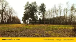 SGSOKE476 - zdjęcie nr 1