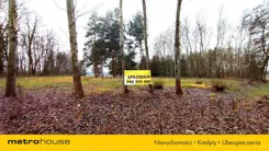 SGSOKE476 - zdjęcie nr 3