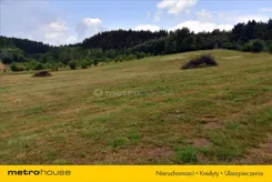 GOMY931 - zdjęcie nr 2