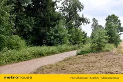 GOMY931 - zdjęcie nr 3