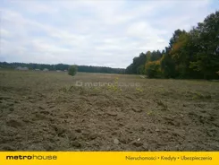 DODE288 - zdjęcie nr 1