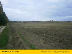 DODE288 - zdjęcie nr 4