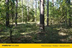 JURA677 - zdjęcie nr 0