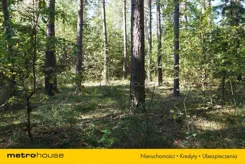 JURA677 - zdjęcie nr 3
