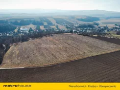 SGDATE581 - zdjęcie nr 2