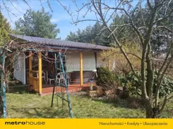 ZOLY499 - zdjęcie nr 1