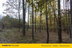 SGPIKI342 - zdjęcie nr 2
