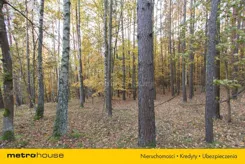 SGPIKI342 - zdjęcie nr 3