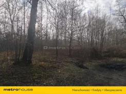 SGLEVO445 - zdjęcie nr 3