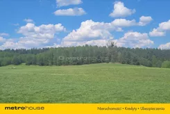 SIPY171 - zdjęcie nr 2