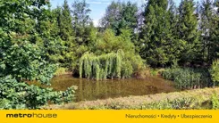 SGPINI493 - zdjęcie nr 0