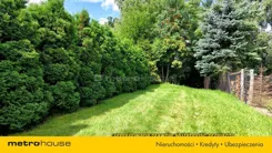 SGBOBY825 - zdjęcie nr 3