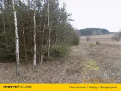 XEBE646 - zdjęcie nr 3
