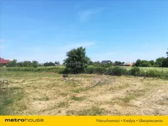 BETA491 - zdjęcie nr 5