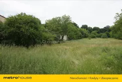 DYDO243 - zdjęcie nr 1