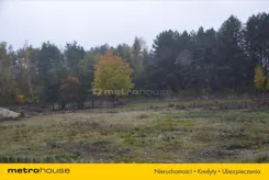 KEBU533 - zdjęcie nr 2