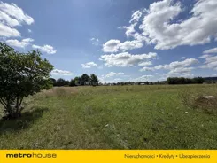 SGHOTO797 - zdjęcie nr 4