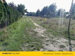 ZYCU884 - zdjęcie nr 3