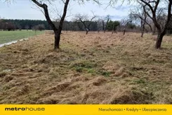 ZUPA869 - zdjęcie nr 1