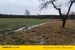 ZUPA869 - zdjęcie nr 3