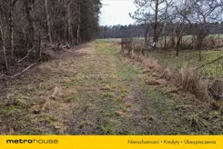 ZUPA869 - zdjęcie nr 4