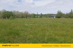 TOSI828 - zdjęcie nr 4