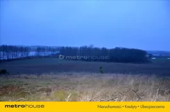 XETI811 - zdjęcie nr 4
