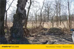 BUBY349 - zdjęcie nr 1