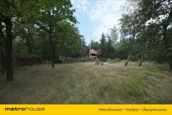 DOJE926 - zdjęcie nr 0