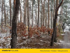 PEBO555 - zdjęcie nr 3