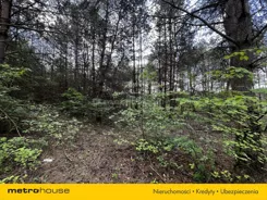 SGBETO759 - zdjęcie nr 2
