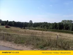ZIZI984 - zdjęcie nr 5