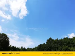 KOLE499 - zdjęcie nr 0