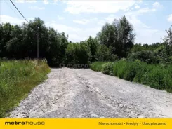 KOLE499 - zdjęcie nr 3
