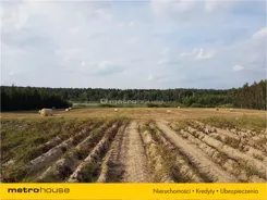 DOXU104 - zdjęcie nr 1