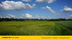 SGVULU375 - zdjęcie nr 2