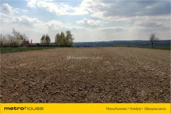 LEME165 - zdjęcie nr 0