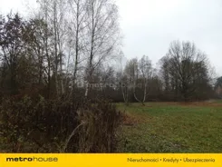 RIRA313 - zdjęcie nr 0