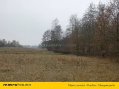 RIRA313 - zdjęcie nr 4