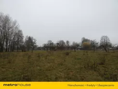 XYPI194 - zdjęcie nr 2