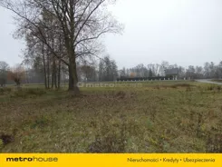 XYPI194 - zdjęcie nr 3