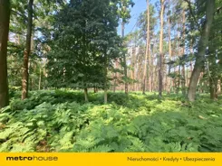 SGKASE532 - zdjęcie nr 1