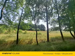 SGKASE532 - zdjęcie nr 2